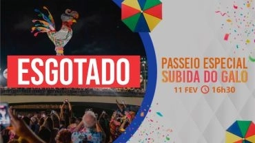 Tour Recife e Suas Pontes ESPECIAL | Subida do Galo